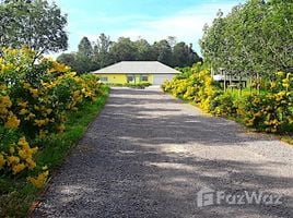  Grundstück zu verkaufen in Mueang Loei, Loei, Na Din Dam, Mueang Loei