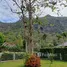  Land for sale at Khao Loi Resort, Phaya Yen, Pak Chong, Nakhon Ratchasima