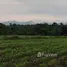  Land for sale in Wang Sai, Nakhon Ratchasima, Wang Sai, Pak Chong, Nakhon Ratchasima