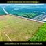  Land for sale in Chon Buri, Nong Suea Chang, Nong Yai, Chon Buri