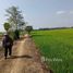  Land for sale in Sukhothai, Wang Yai, Si Samrong, Sukhothai
