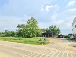 ขายที่ดิน ใน หนองใหญ่, พัทยา, หนองใหญ่, หนองใหญ่, ชลบุรี