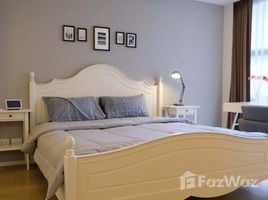 MODE Sukhumvit 61에서 임대할 1 침실 아파트, Khlong Tan Nuea, Watthana, 방콕