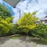 บ้านเดี่ยว 4 ห้องนอน ให้เช่า ในทำเล สนามบินนานาชาติเชียงใหม่, สุเทพ, ป่าแดด