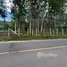  Land for sale in Thep Krasattri, Phuket, Thep Krasattri