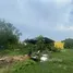  Land for sale in Mueang Pathum Thani Pathum Thani, Lak Hok, Mueang Pathum Thani