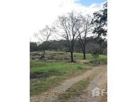  Land for sale in Atenas, Alajuela, Atenas