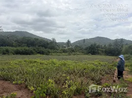  Grundstück zu verkaufen in Thap Tai, Hua Hin, Thap Tai