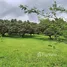 3 спален Дом for sale in San Mahaphon, Чианг Маи, San Mahaphon, Mae Taeng, Чианг Маи