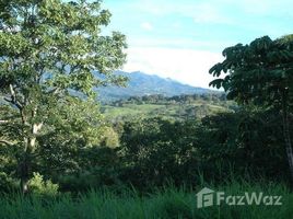 N/A Land for sale in Alto Boquete, Chiriqui CHIRIQUI
