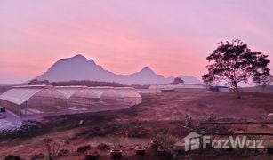 N/A Land for sale in Wang Saphung, Loei 