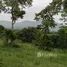  Земельный участок for sale in Wang Sai, Накхон Ратчасима, Wang Sai
