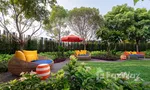 Communal Garden Area at HUB Hua Hin condominium
