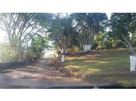  Land for sale in Grecia, Alajuela, Grecia