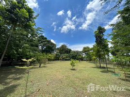  Land for sale in Phatthana Nikhom, Lop Buri, Chong Sarika, Phatthana Nikhom