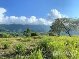  Terreno (Parcela) en venta en Puntarenas, Osa, Puntarenas