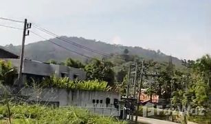 N/A Land for sale in Rawai, Phuket Nai Harn Baan Bua