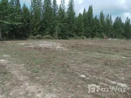  Grundstück zu verkaufen in Hua Hin, Prachuap Khiri Khan, Thap Tai