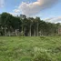  Land for sale in El Porvenir Atlantida, El Porvenir, Atlantida, Honduras