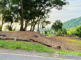 ขายที่ดิน ใน กะรน, ภูเก็ต, กะรน, เมืองภูเก็ต