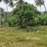 ขายที่ดิน ใน ขนอม, นครศรีธรรมราช, ขนอม, ขนอม, นครศรีธรรมราช