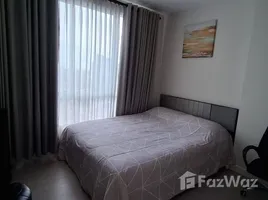 คอนโด 1 ห้องนอน ให้เช่า ในโครงการ เดอะ สกาย สุขุมวิท, บางนา, บางนา