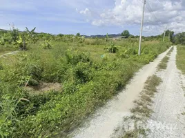 ขายที่ดิน ใน เชิงทะเล, ภูเก็ต, เชิงทะเล