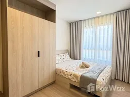 1 Bedroom Condo for rent at Dcondo Reef Phuket, Kathu, Kathu, Phuket, Thailand