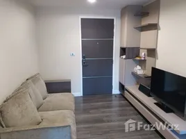 1 Bedroom Condo for rent at The Crest Sukhumvit 49, Khlong Tan Nuea, Watthana, Bangkok