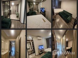 คอนโด 1 ห้องนอน ให้เช่า ในโครงการ ดิ ออริจิ้น ลาดพร้าว 15, จอมพล