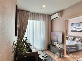 在Nue District R9租赁的开间 住宅, 辉煌, 辉煌, 曼谷, 泰国