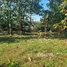  Land for sale in Khan Rai, Ubon Ratchathani, Khan Rai, Sirindhorn, Ubon Ratchathani, Thailand