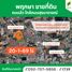  Земельный участок for sale in Cho Ho, Накхон Ратчасима, Cho Ho, Mueang Nakhon Ratchasima, Накхон Ратчасима