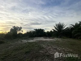  Terrain for sale in Trang, Thung Krabue, Yan Ta Khao, Trang