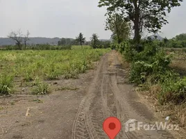 ขายที่ดิน ใน ลำพยนต์, นครสวรรค์, ลำพยนต์, ตากฟ้า