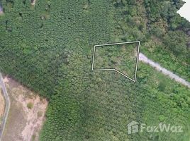  Terrain for sale in Pa Khlok, Thalang, Pa Khlok