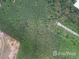  Terreno (Parcela) en venta en Pa Khlok, Thalang, Pa Khlok