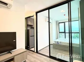 1 Bedroom Condo for rent at Brixton Pet&Play Phahol 50 Station, Anusawari, Bang Khen