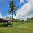  Terreno (Parcela) en venta en Buenavista, Central Visayas, Buenavista, Bohol