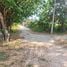  Land for sale in Ubon Ratchathani, Rai Noi, Mueang Ubon Ratchathani, Ubon Ratchathani