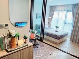 1 Bedroom Condo for rent at Modiz Sukhumvit 50, Phra Khanong, Khlong Toei, Bangkok, Thailand