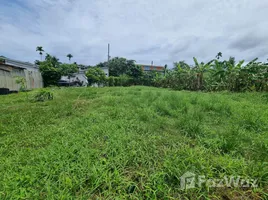  Land for sale in Choeng Thale, Phuket, Choeng Thale, Thalang