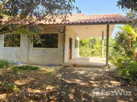 ขายที่ดิน ใน หนองเพรางาย, นนทบุรี, หนองเพรางาย, ไทรน้อย, นนทบุรี, ไทย