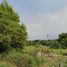  Land for sale in Pattaya, Bang Lamung, Pattaya