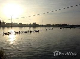  Grundstück zu verkaufen in Photharam, Ratchaburi, Don Sai, Photharam, Ratchaburi