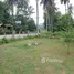  Land for sale in Pa Khlok, Thalang, Pa Khlok