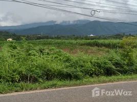 ขายที่ดิน ใน โป่งตาลอง, นครราชสีมา, โป่งตาลอง, ปากช่อง, นครราชสีมา, ไทย
