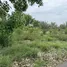  Land for sale in Makhun Wan, Chiang Mai, Makhun Wan