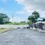  Land for sale in Pococi Limon, Pococi, Limon