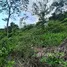 在哥斯达黎加出售的 土地, Mora, San Jose, 哥斯达黎加